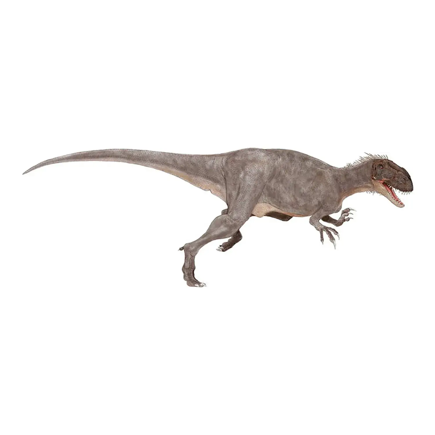 アフロベナトル (Afrovenator) | 恐竜大百科