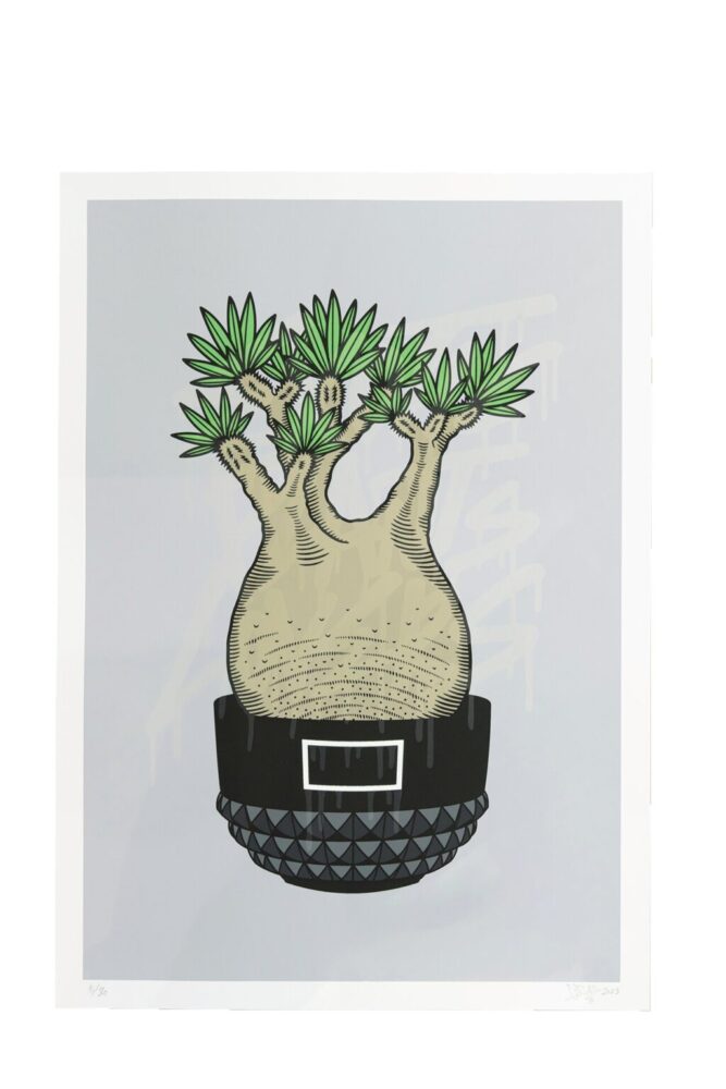 ボタナイズ バナケン 絵 ポスター 点描画 ブランドロゴ 塊根植物 多肉