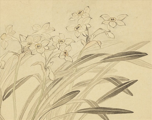 清惲壽平摹古冊水仙- 故宮