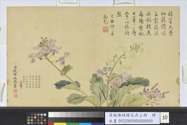 清錢維城繪花卉（上）冊諸葛茉花- 故宮