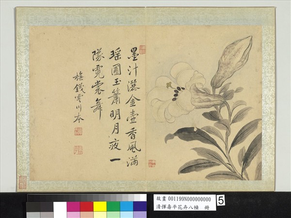 清惲壽平花卉八幀冊橅錢霅川本- 故宮