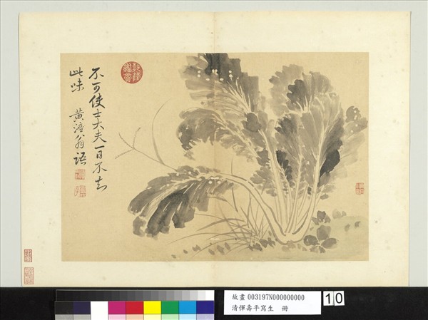 清惲壽平寫生冊墨菜- 故宮
