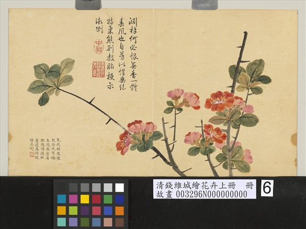 清錢維城畫四景花卉秋景冊萬壽菊- 故宮