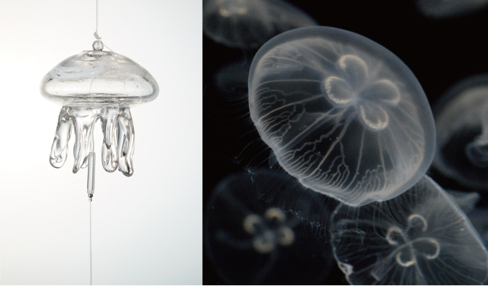 京都水族館】21種130個の手作りのクラゲ風鈴が涼やかに奏でる 夏限定