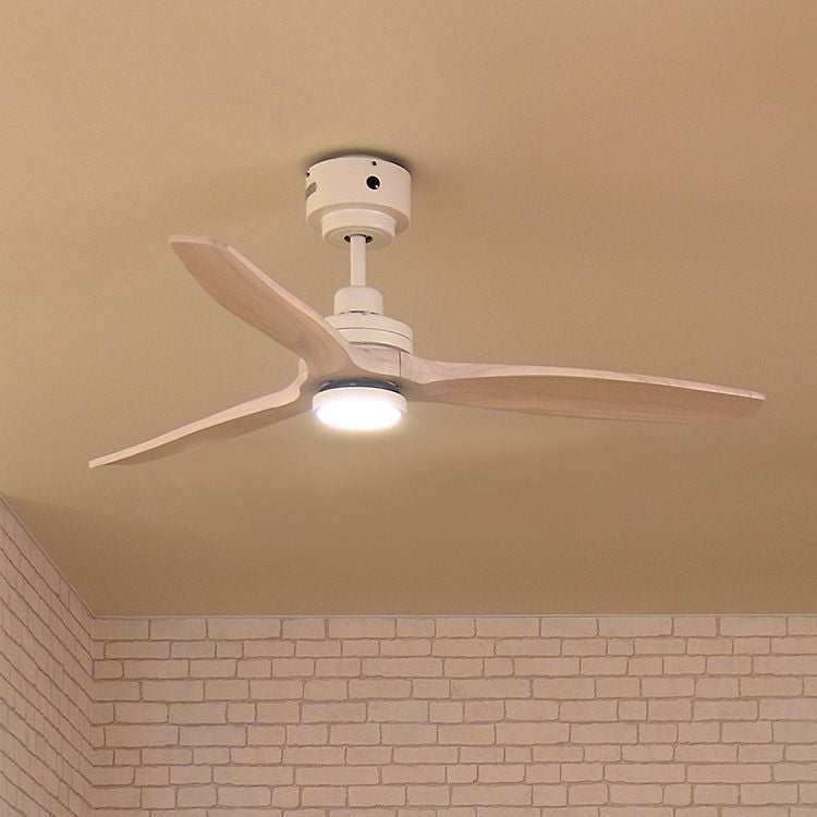 000000003366-01.jpg?size=xl&w=