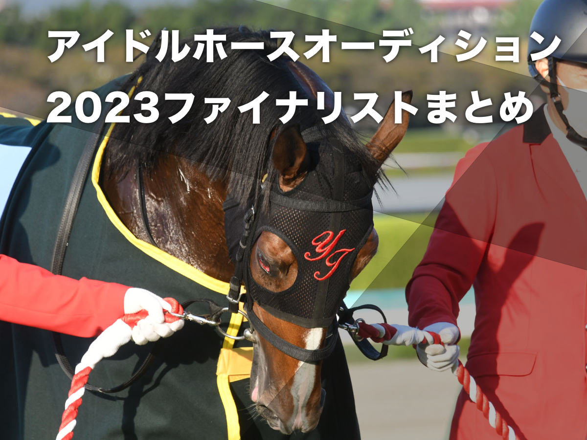 ぬいぐるみ化】アイドルホースオーディション2023のファイナリストに