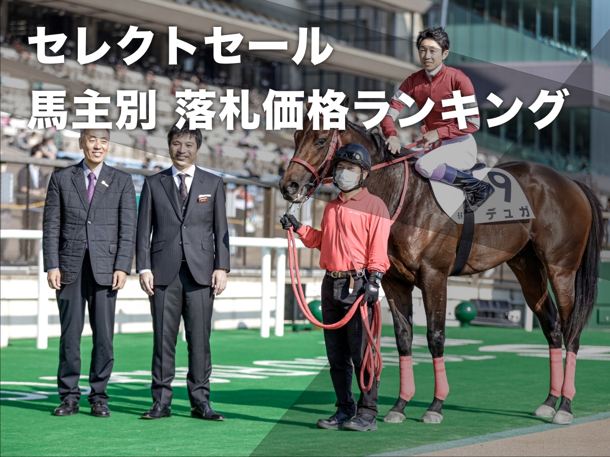 馬主別セレクトセール総購入額まとめ ダノックスが190億3450万円で歴代