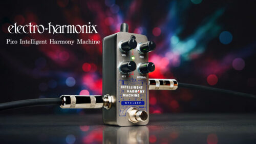 Animals Pedal（アニマルズペダル）からはるまきごはん氏による