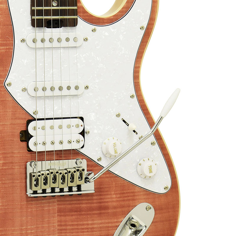 AriaProIIよりエレキギター新シリーズ AE Aria Evergreen登場！ - Discover