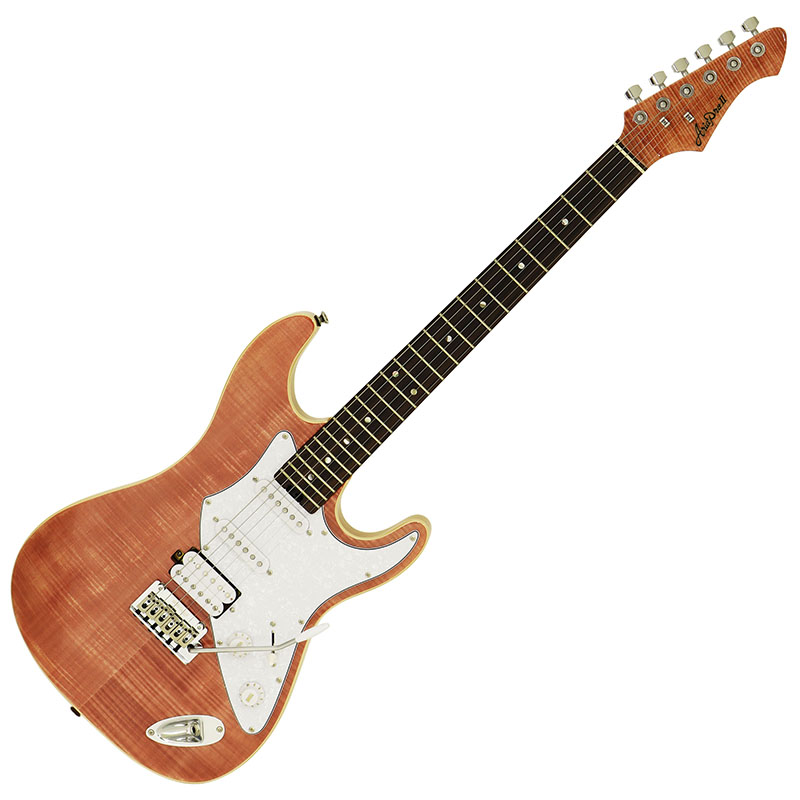 AriaProIIよりエレキギター新シリーズ AE Aria Evergreen登場！ - Discover