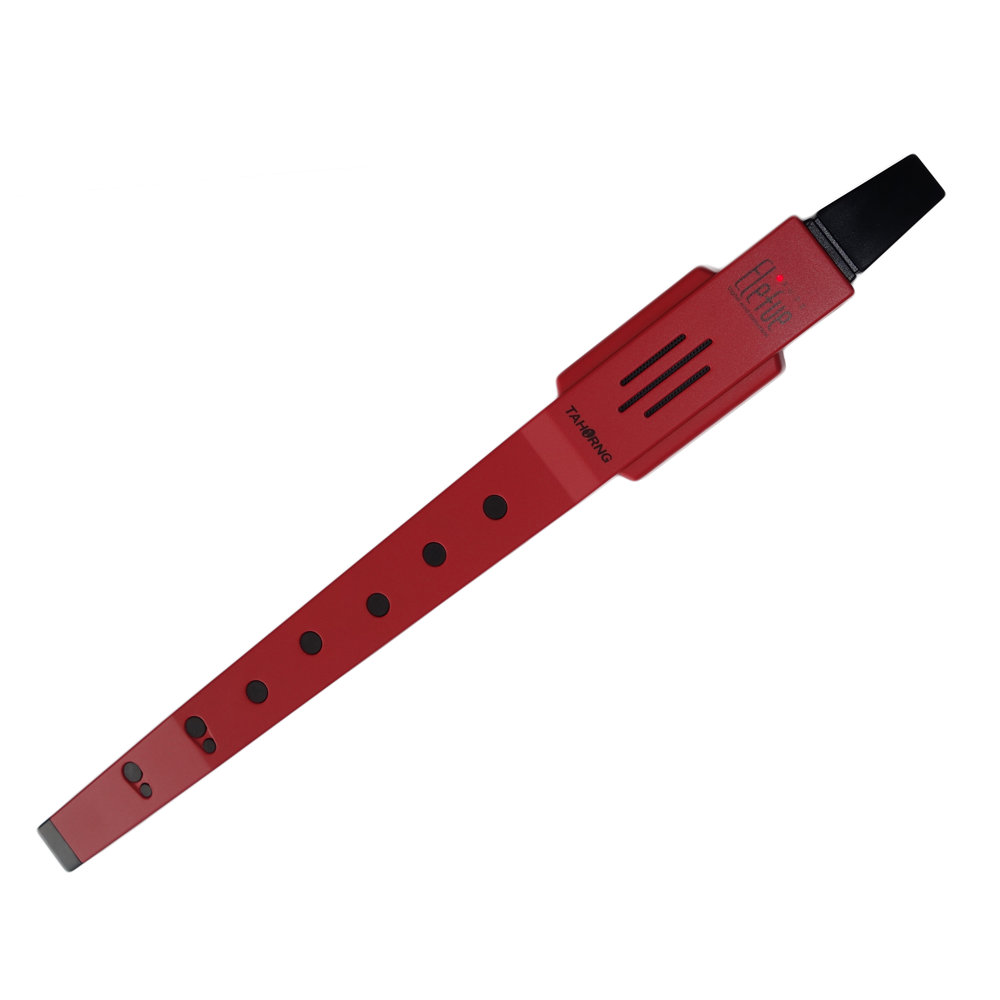 手軽に楽しめる楽器として人気のTAHORNG Elefue（エレフエ）電子