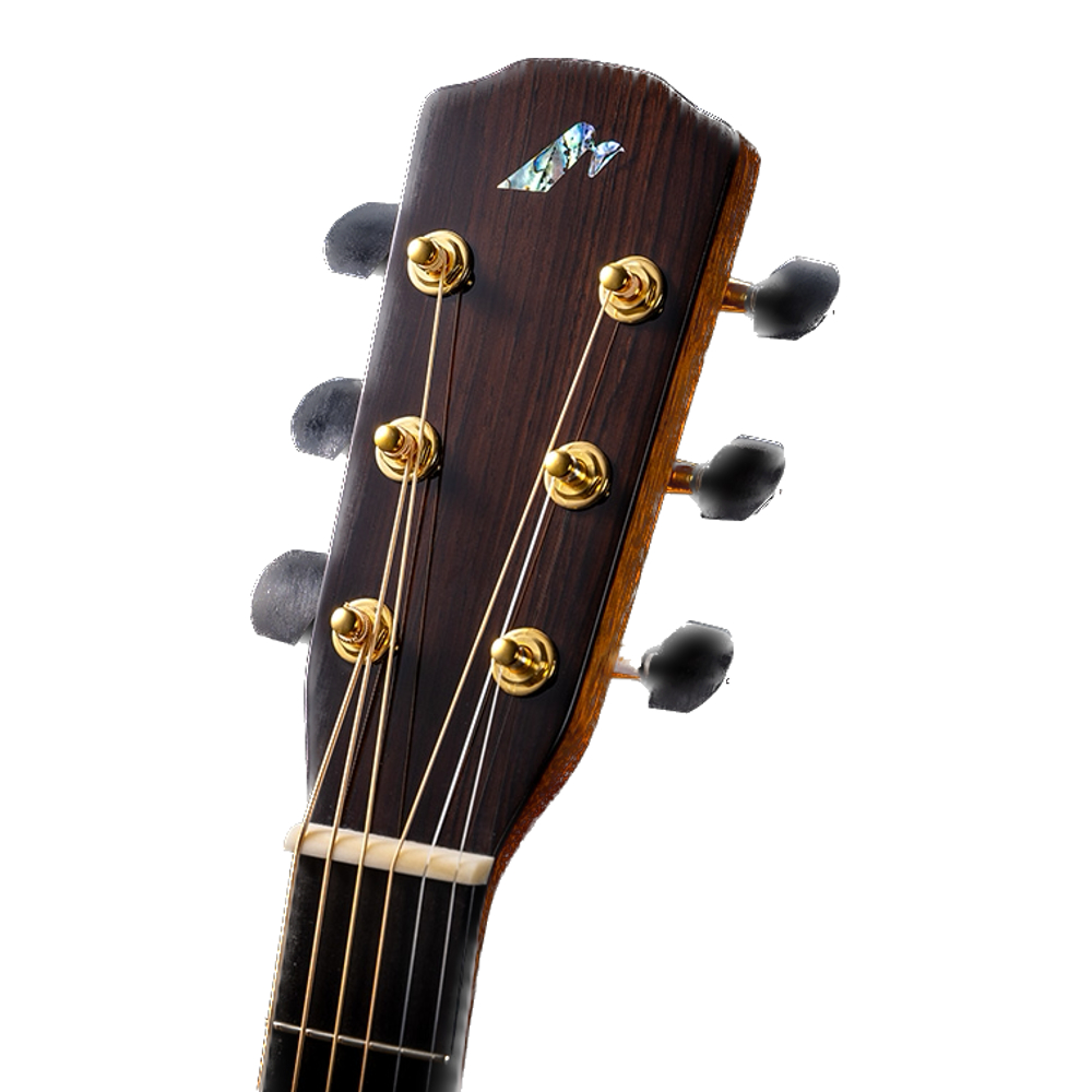 MORRIS「2023 Limited Edition HAND MADE PREMIUM」登場！