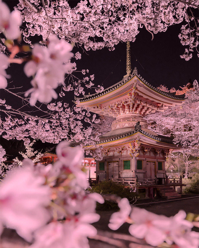 フォトコンテスト 絶景プロジェクトテーマ「神社仏閣と桜」 | Discover