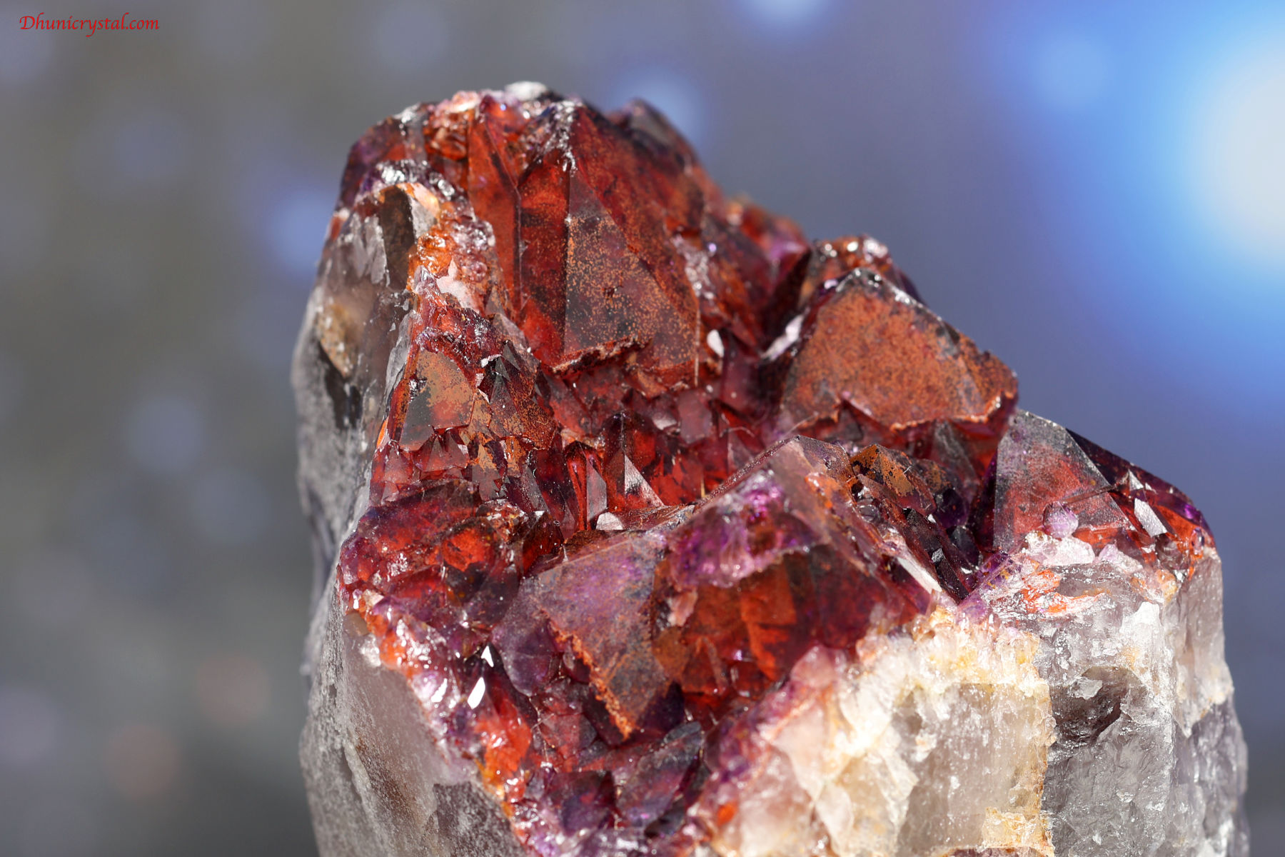 エイリアン・アメジスト(A643)