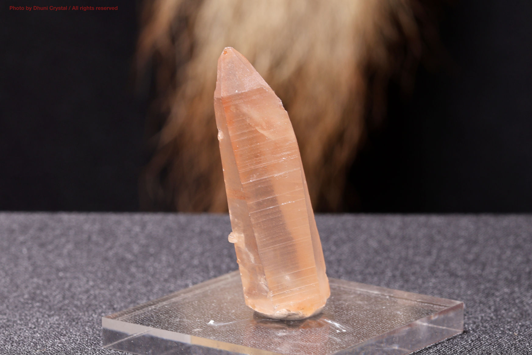 スカーレットテンプル・ピンクレムリアン｜愛と癒しの神殿を宿す