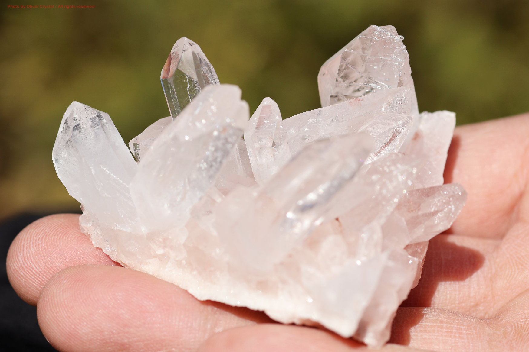 ヒマラヤ水晶｜マニカラン産ピンククラスター｜淡い癒しの輝き