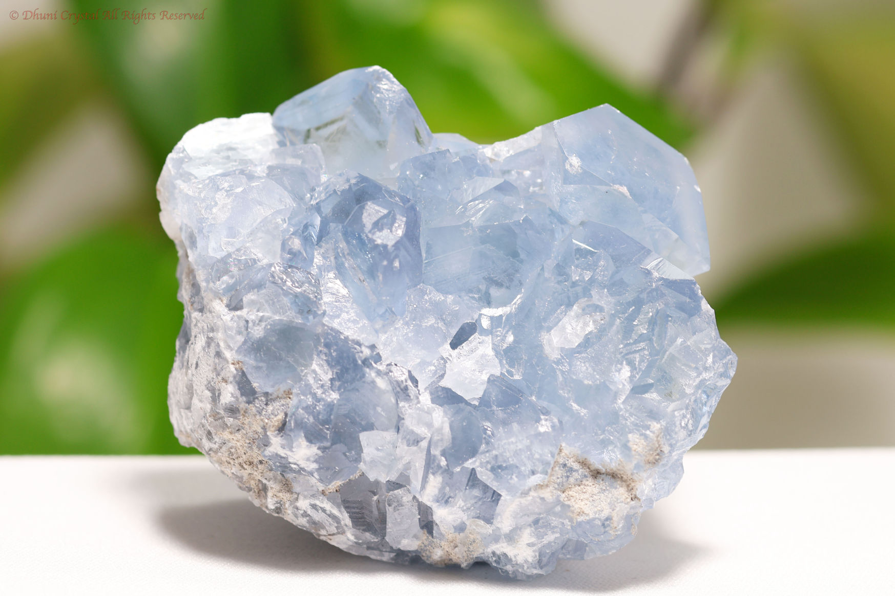 セレスタイト原石/天青石(A594)