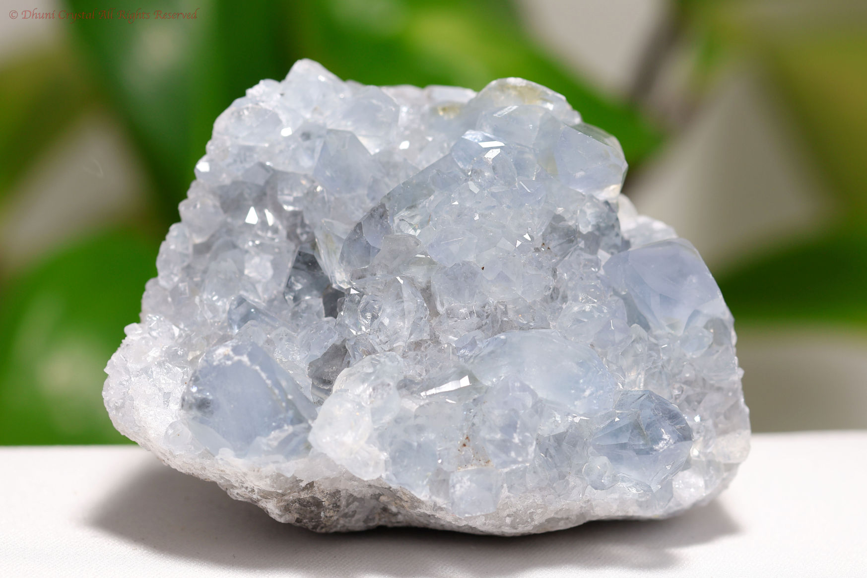 セレスタイト原石/天青石(A595)