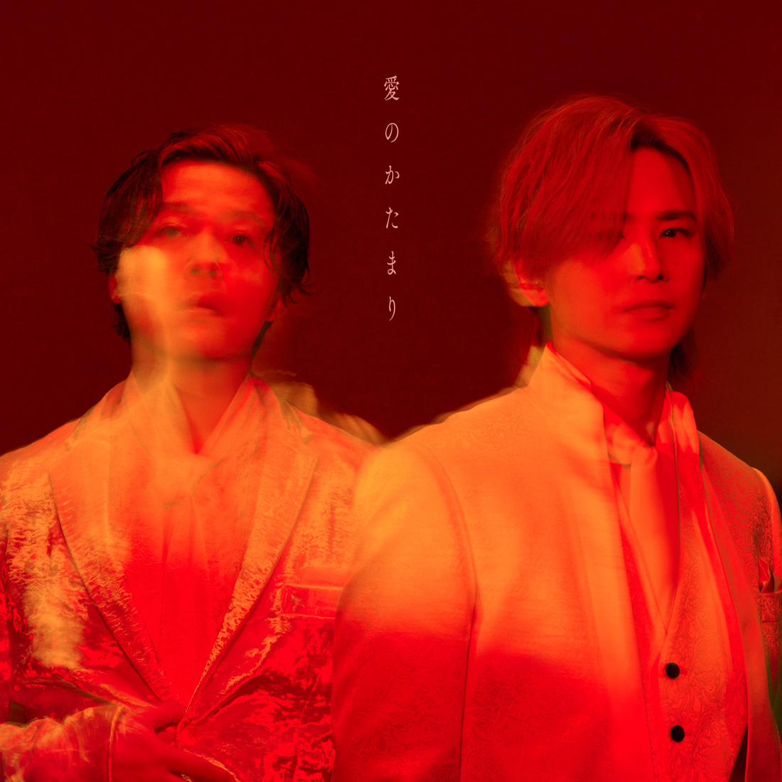 DOMOTO｜ELOV-Label Release Site