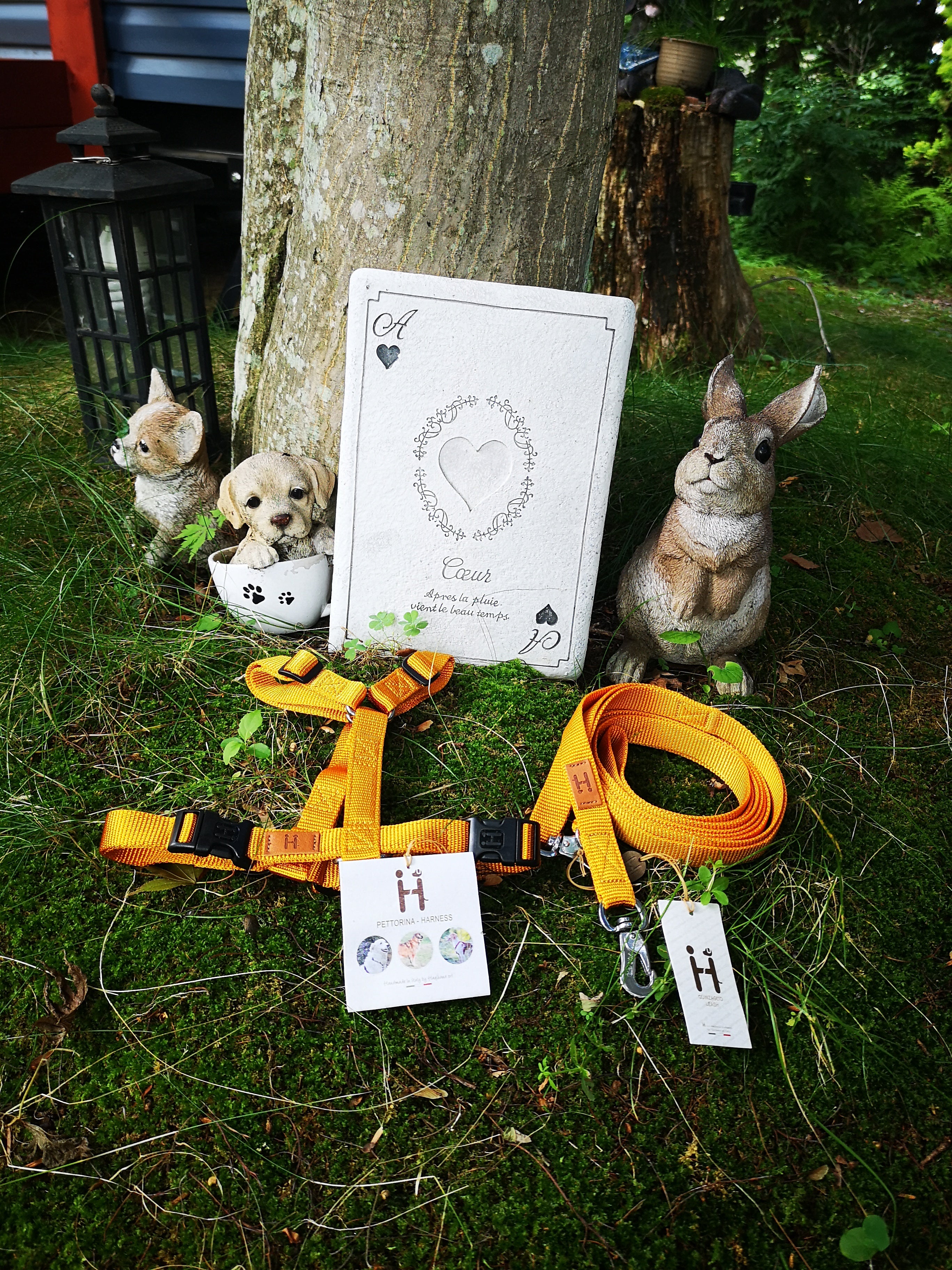 ハキハナ社製ハーネス【H】XXXSサイズ – Sabine's Dog Vacation