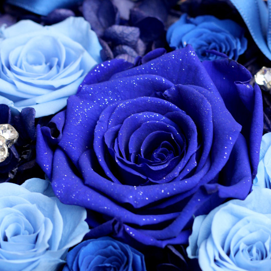 ダイヤモンドローズ(ジュエルブルー) /9輪バラのBOXプリザーブド