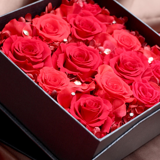 クリスタルローズボックス -12輪の赤バラ BOXフラワー-/プリザーブド