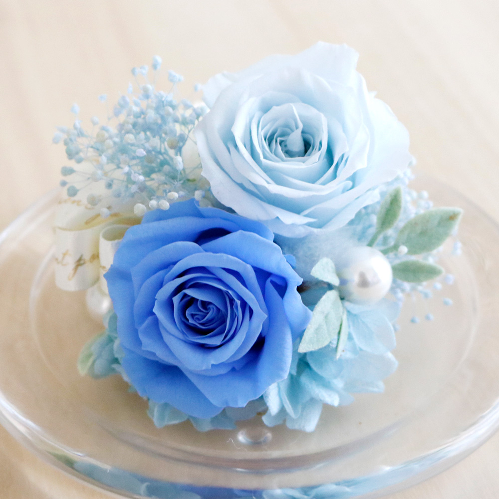 ガラスドーム-フィオーレ-(ブルー) /プリザーブドフラワー