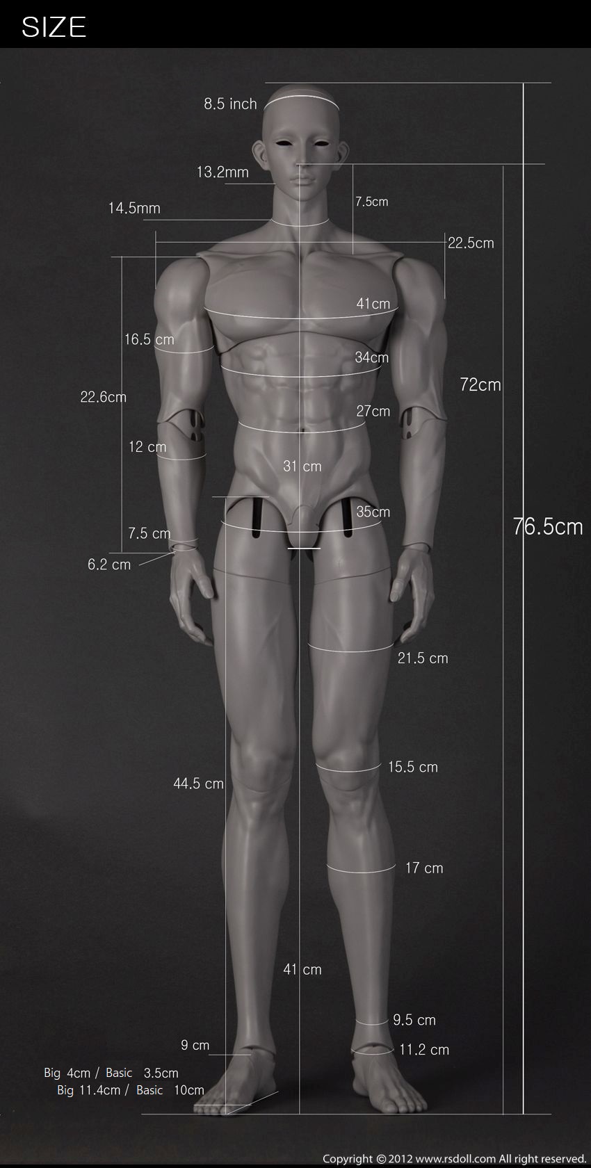 期間限定】RS Muscle 76 Body｜DOLK（ドルク）