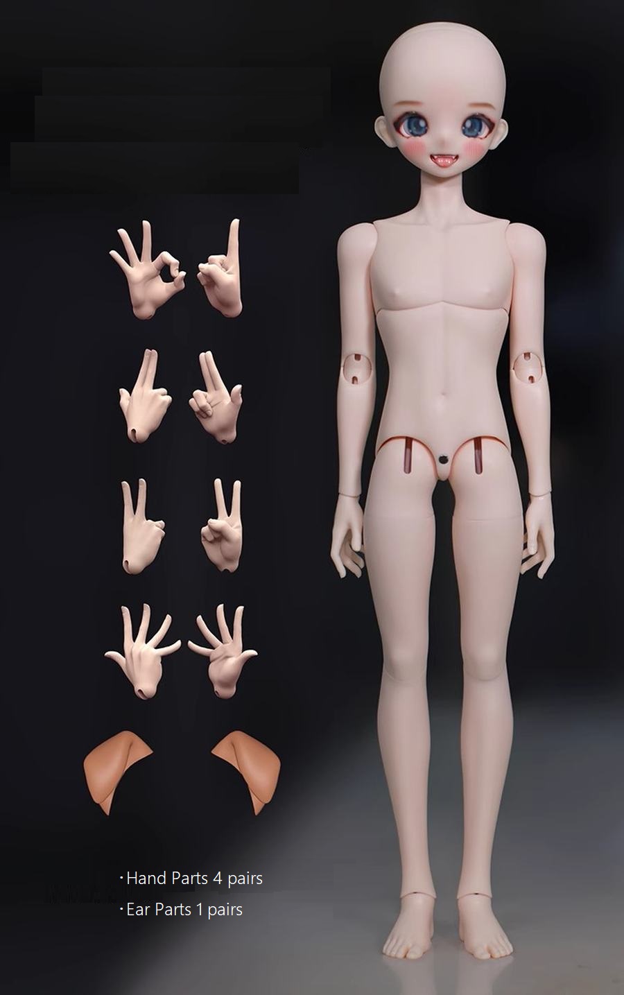 期間限定】1/4 Boy Body｜DOLK（ドルク）