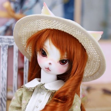 PRISCILLA｜DOLK（ドルク）