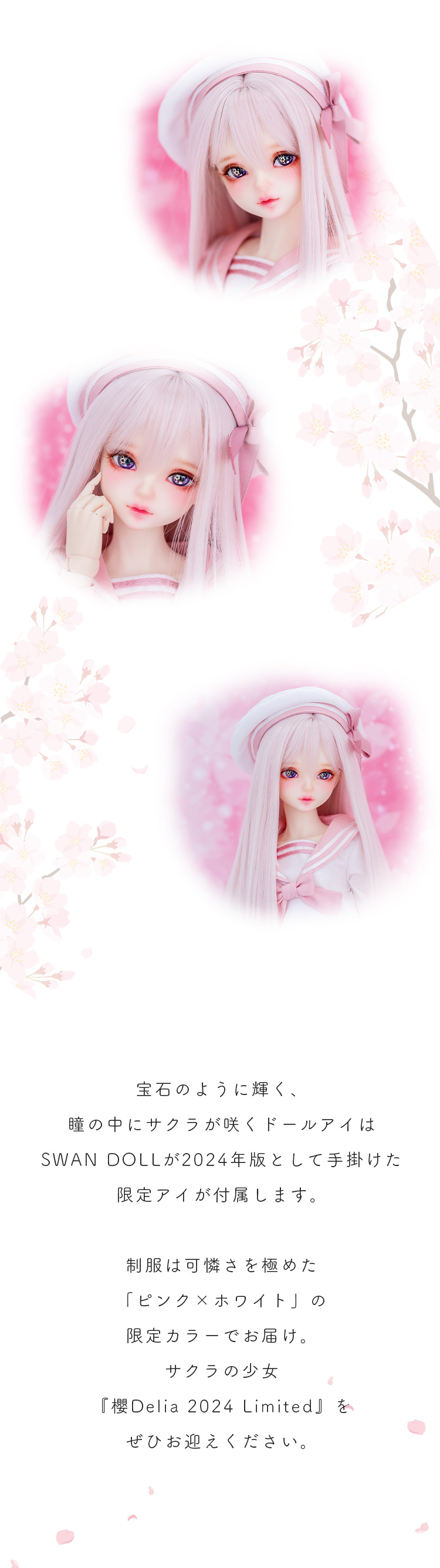 DOLK×MYOU DOLL | 櫻Zuzana 2024 Limited 特設 - DOLK（ドルク）