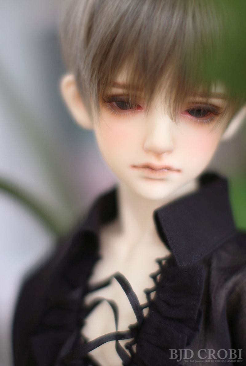 News Articles | DOLK REPO