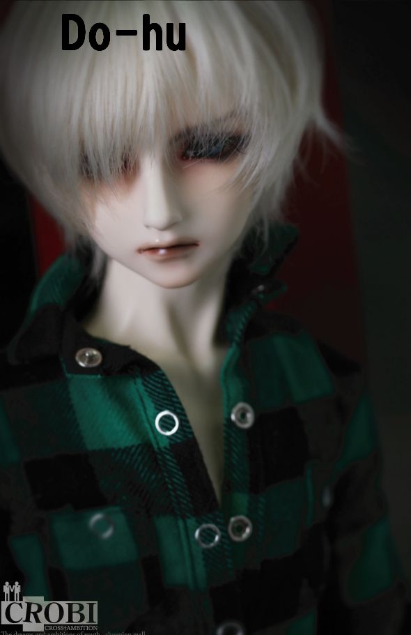 News Articles | DOLK REPO