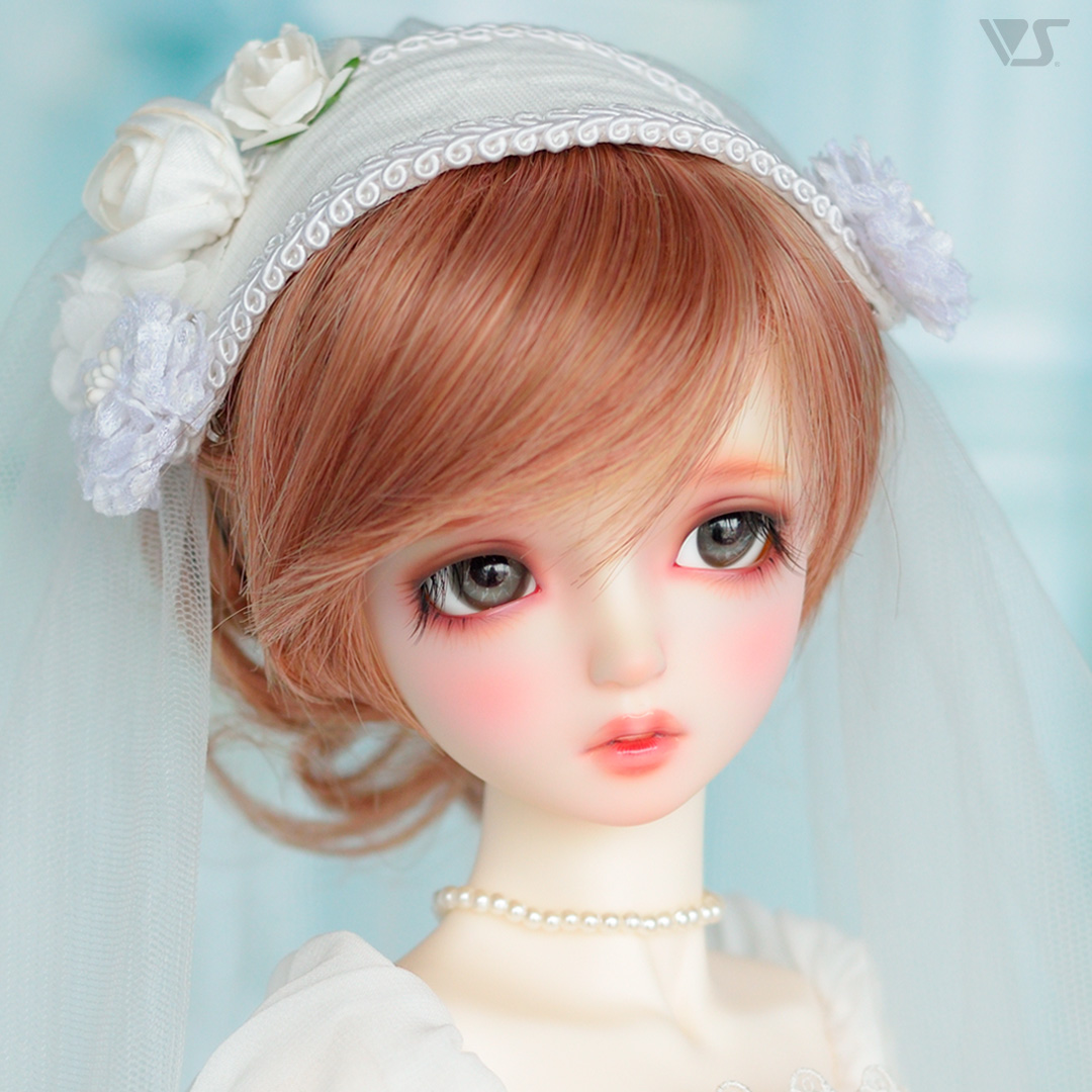 ボークスニュースVol.92掲載 モデルドルフィーのご紹介 ※「HTドルパ