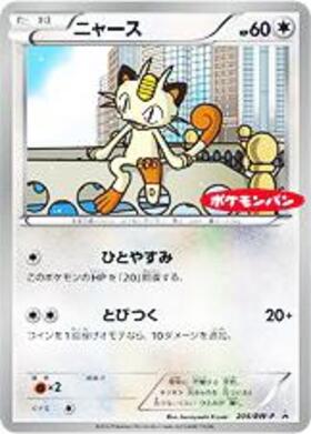 ニャース(250/XY-P) | プロモ | ドラゴンスター | ポケモンカード