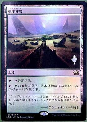 7ED)低木林地/BRUSHLAND | 神話レア・レア | ドラゴンスター