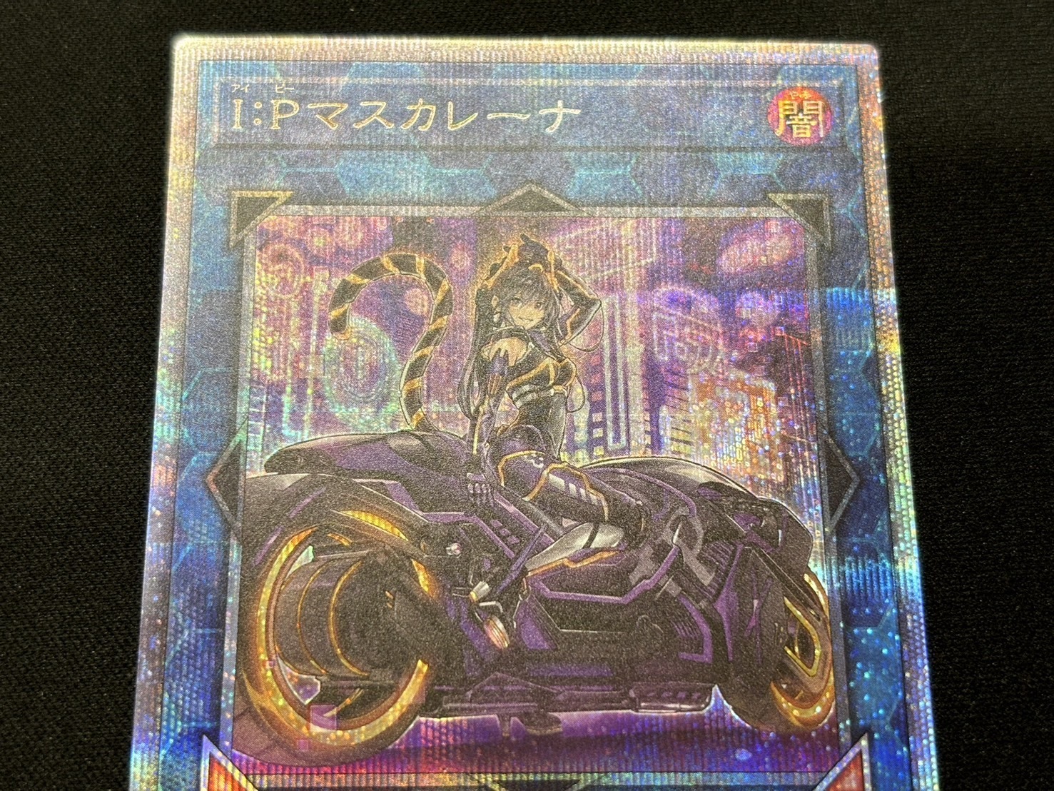 IPマスカレーナ(プリズマティックシク)(イラスト違い) | | ドラゴン