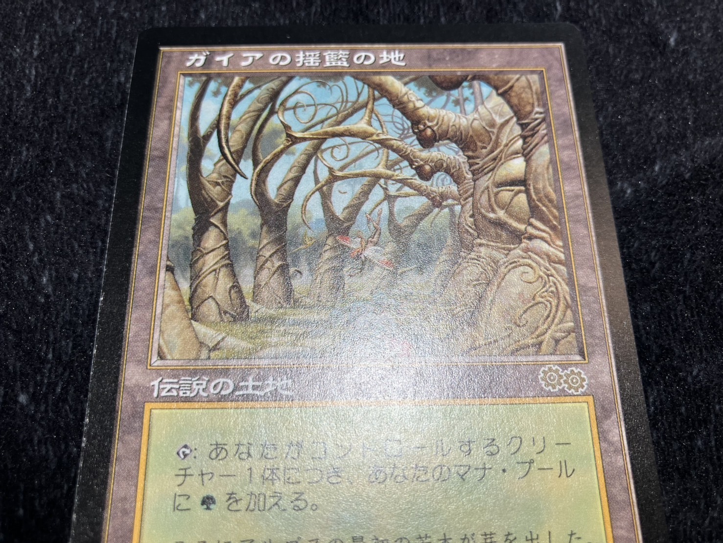 MTG ガイアの揺籃の地 日本語 MTG ガイアの揺籃の地/Gaea's Cradle