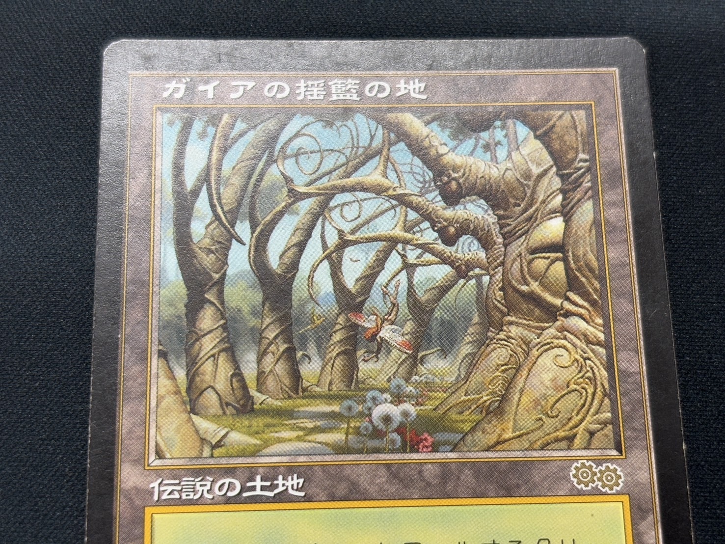 ガイアの揺籃の地 mtg ガイアの揺籃の地 日本語 Gaea's Cradle