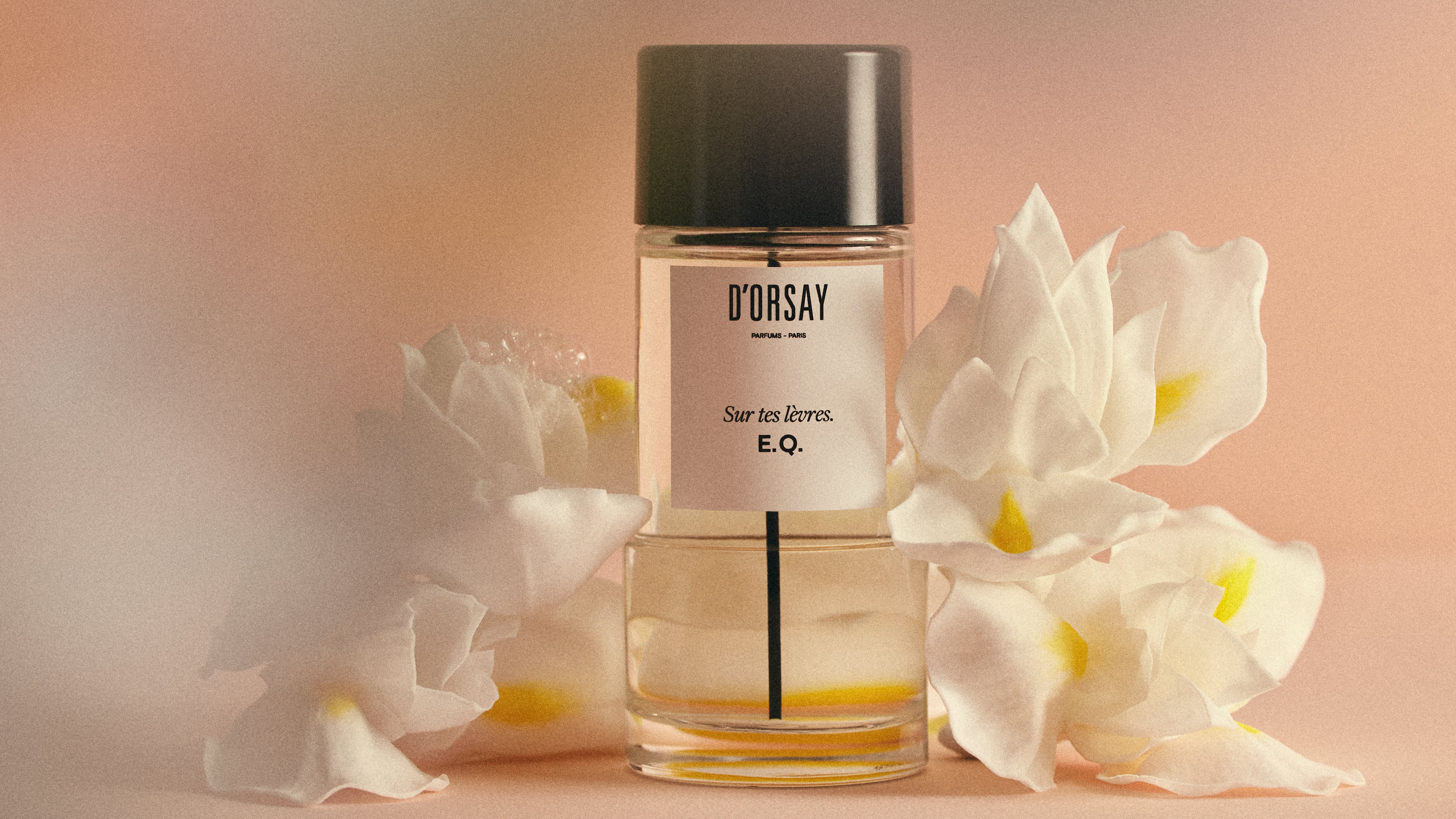 S.C. トラベルエディション - ドルセー ジャパン (d'Orsay Japan