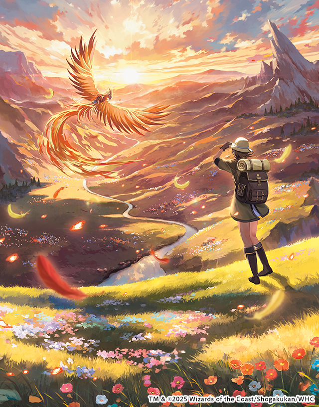 デュエル・マスターズ 神アートシリーズ