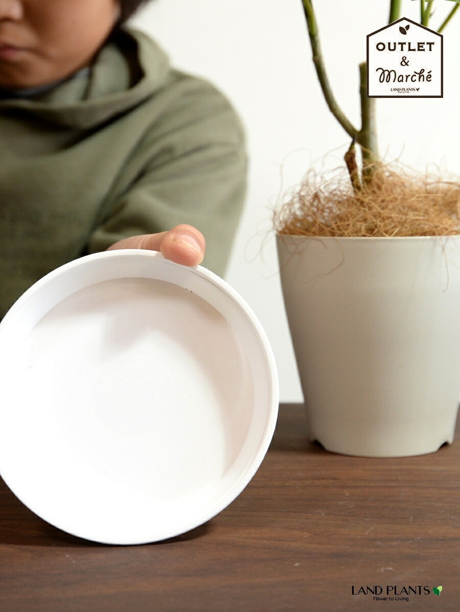 dショッピング |【受け皿】 白色 丸形 プラスチック製 受皿 （直径：約