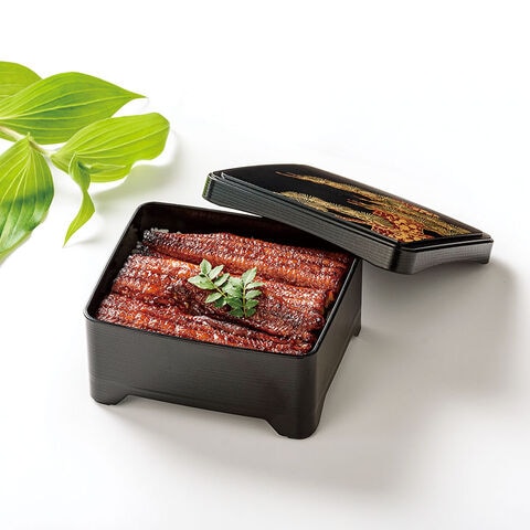 dショッピング |うな重 鰻重 重箱 容器 うな重箱 和食器 日本製 電子