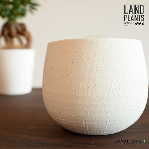 dショッピング |【植木鉢】 クレイポット 白色 バルーン型 粗削り