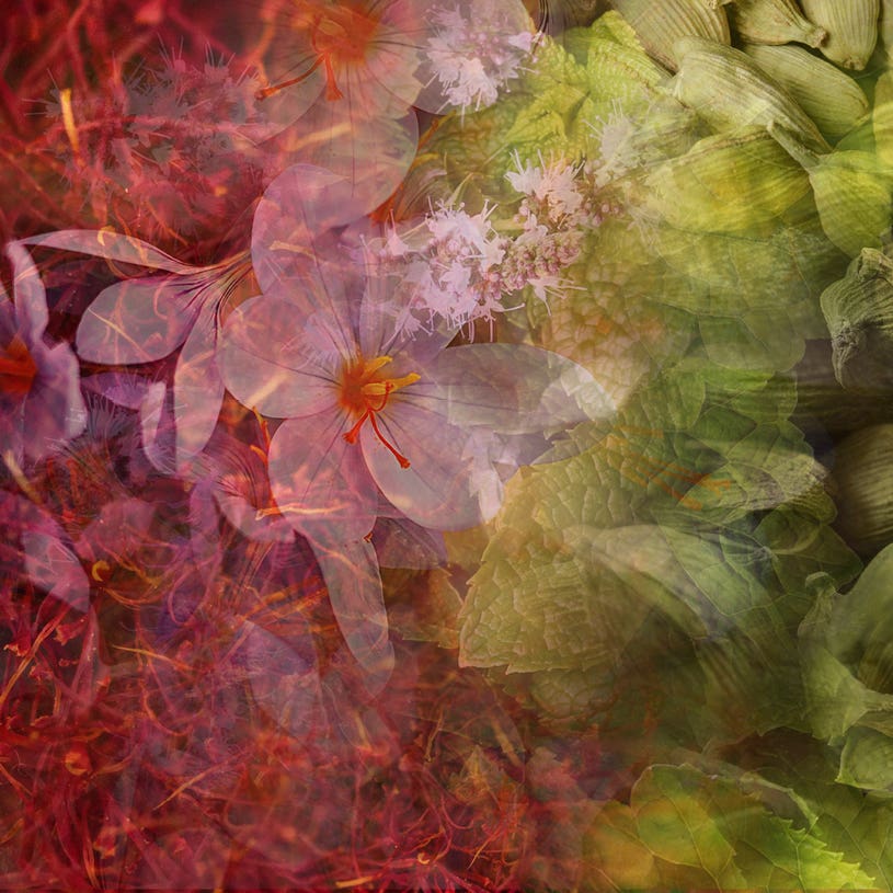 Dr. Vranjes Firenze ® Velvet Saffron - A journey into indulgence