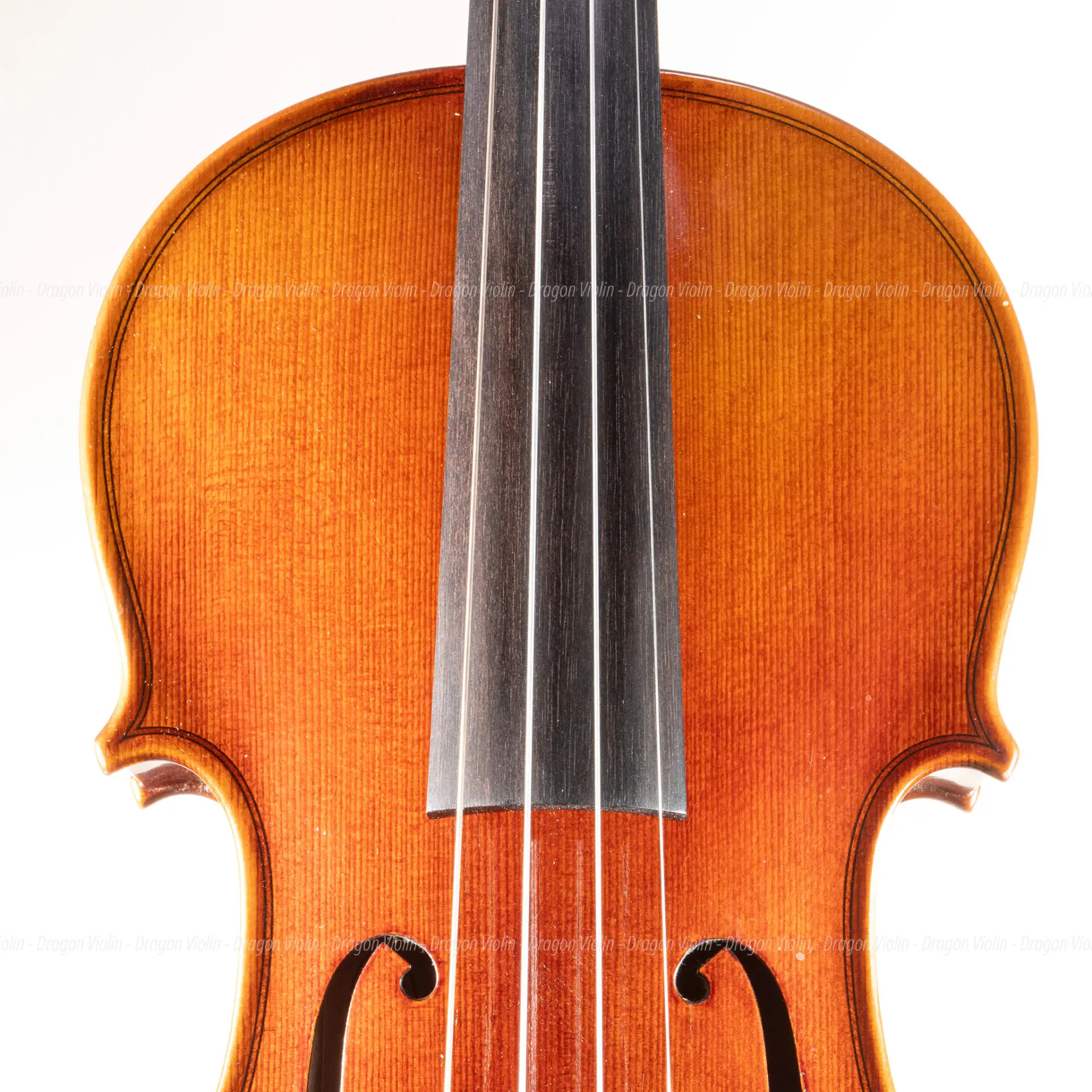 German violin, Roderich Paesold #806 2001 - Dragon Violin