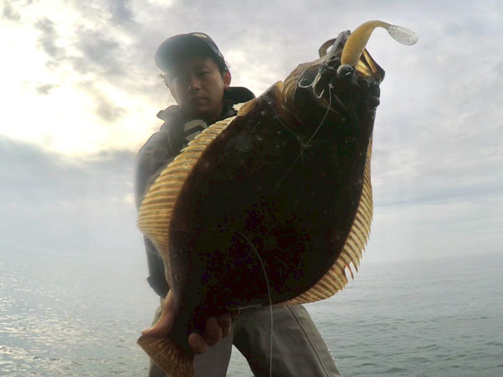 北海道噴火湾エリアのヒラメ狙いにおけるドリームシャッドの使い方