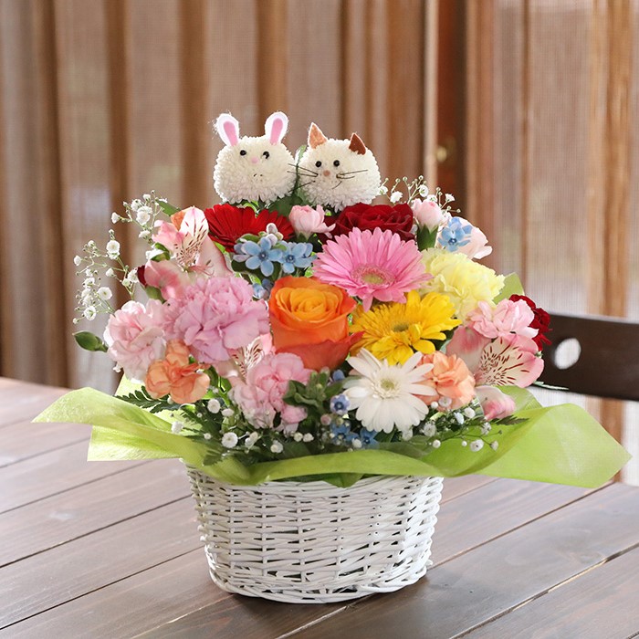 花・植物(並び順：商品コード)のお取り寄せ│DISCOVER WEST mall 【JR