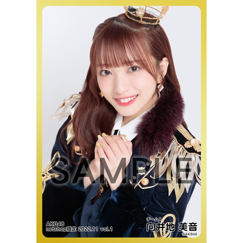 予約商品】AKB48 2022年11月度 net shop限定個別生写真5枚セットvol.1