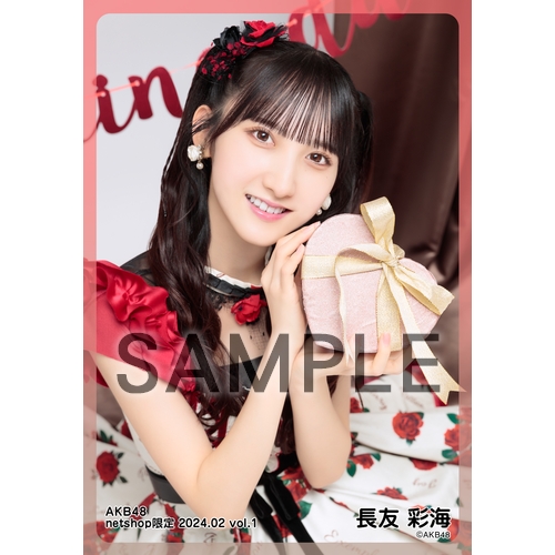予約商品】AKB48 2024年2月度 net shop限定個別生写真5枚セットvol.1